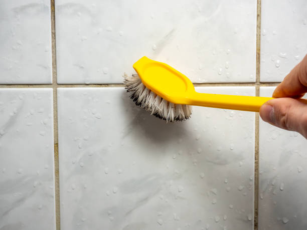 Best Health and Safety Mold Remediation in Belwood, NC